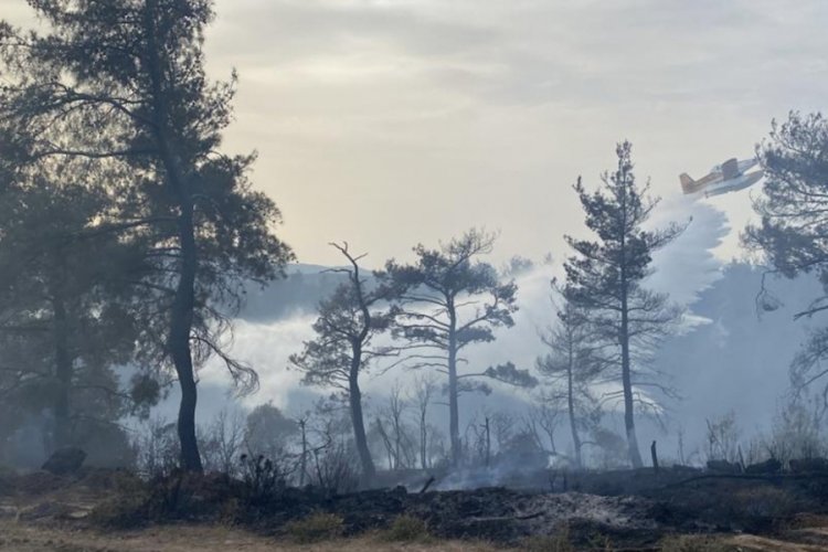 &Ccedil;anakkale'deki orman yangını 8 saat sonra kontrol altına alındı