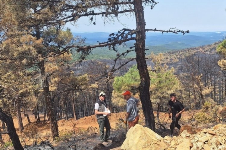 Bursa Orhaneli'de geçen hafta çıkan orman yangınında 96 hektarlık alanın kül olduğu bildirildi