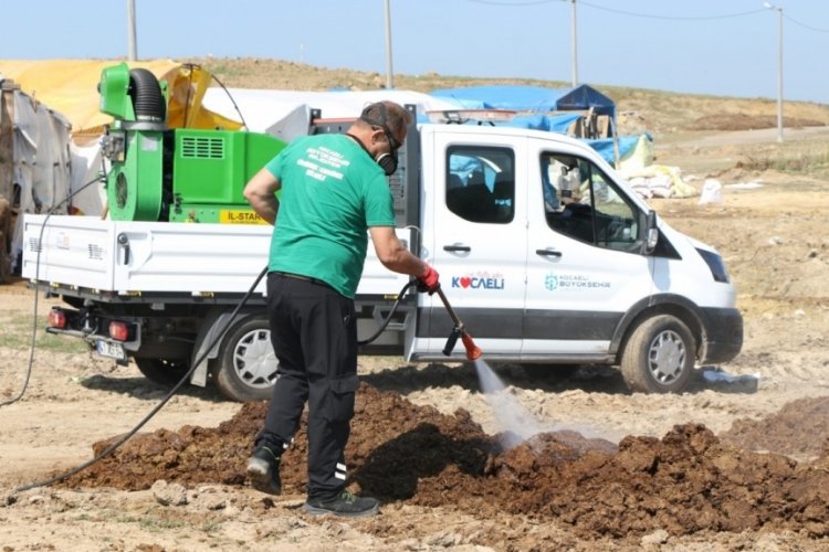 Kocaeli kurban pazarlarında ila&ccedil;lamalar aralıksız s&uuml;r&uuml;yor