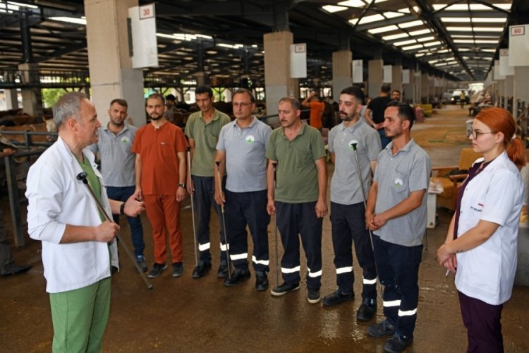 Bursa Osmangazi'de ka&ccedil;an kurbanlıklar anında yakalanacak