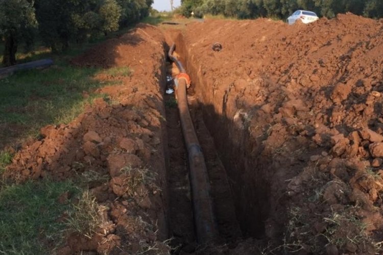 Bursa'da tarımsal sulama yine patlak verdi! 35 bin zeytin ağacı can &ccedil;ekişiyor