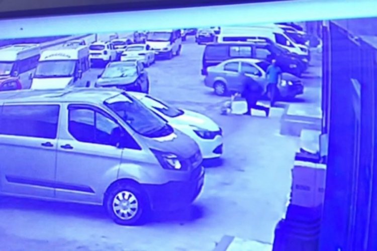 Artvin'de sokak k&ouml;peğine k&uuml;rekle saldırı tepki topladı