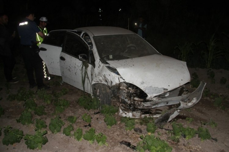 Otomobil ağaca &ccedil;arpıp sebze bah&ccedil;esine girdi: 5 yaralı