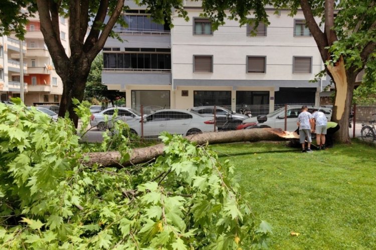Bursa'da cuma namazında cemaatin &uuml;zerine ağa&ccedil; devrildi