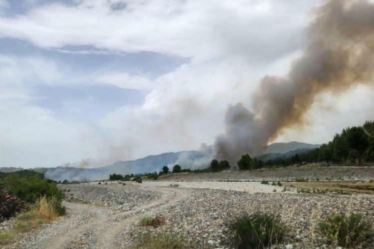 Muğla, Balıkesir, Denizli, Aydın ve Manisa'da 6 noktada orman yangını