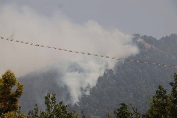 Bir mahalle boşaltılıyor! Denizli'de orman yangını b&uuml;y&uuml;yor