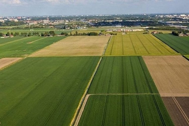 Orhangazi'de mahkemeden arsa satışı ger&ccedil;ekleştirilecek