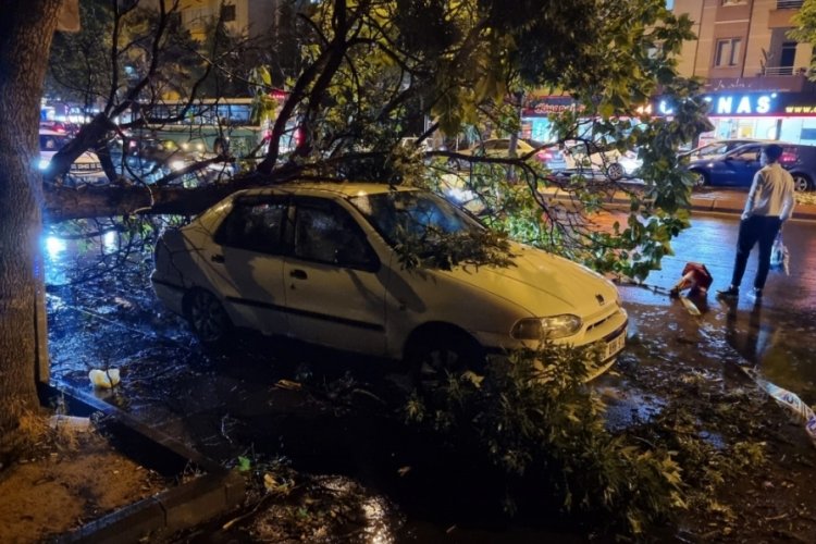 Kayseri'de şiddetli r&uuml;zgar hayatı olumsuz etkiledi
