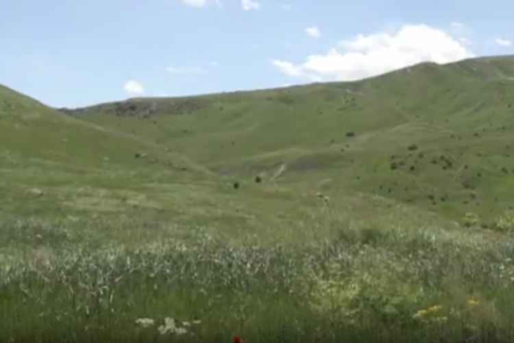 Hakkari'den Uludağ'a bir&ccedil;ok b&ouml;lgede T&uuml;rkiye'nin biyo&ccedil;eşitliliği araştırılıyor