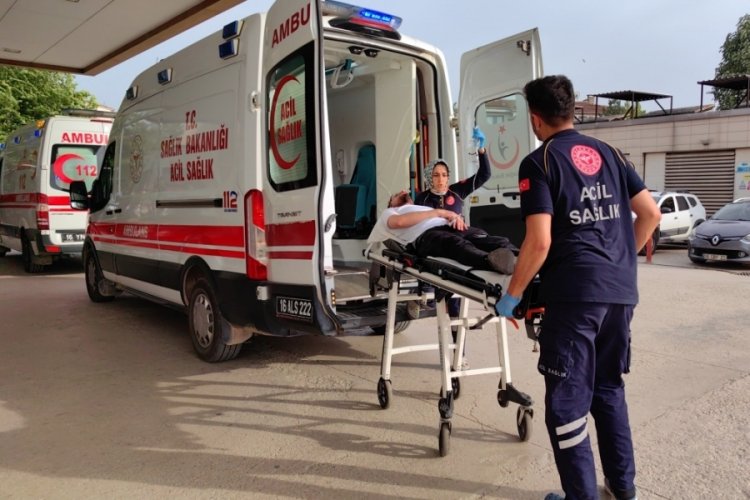 Bursa'da arıların sokmasıyla solunumu durdu
