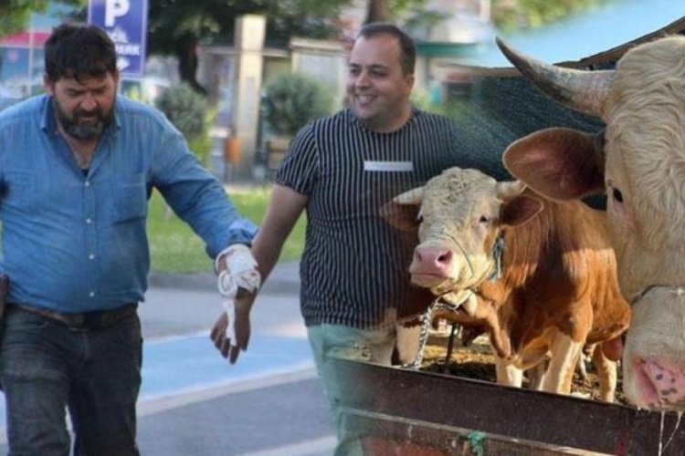 Acemi kasaplar kurban yerine kendini kesti