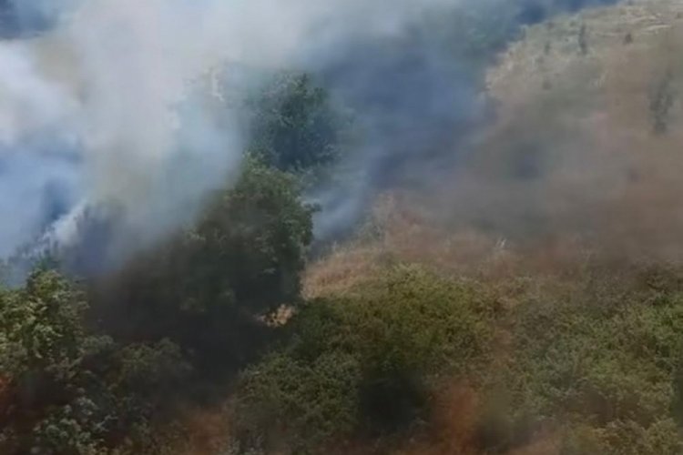 Bursa'da otluk alanda yangın!