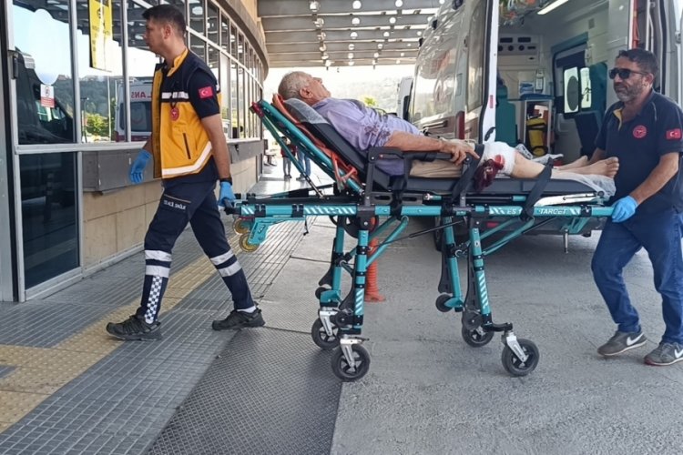 &Ccedil;orum'da acemi kasaplar hastanelik oldu