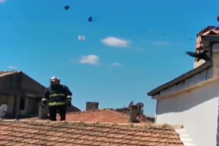 İpe dolanan kargayı, polis kurtardı