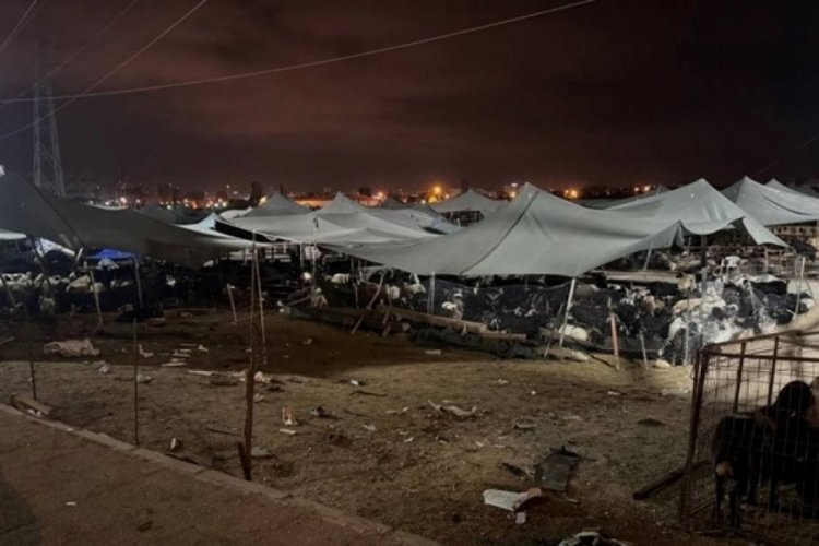 Mersin'de otomobil hayvan pazarına daldı: 8 yaralı