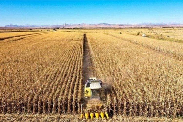 TZOB: Tarım arazileri 23,9 milyon hektara geriledi