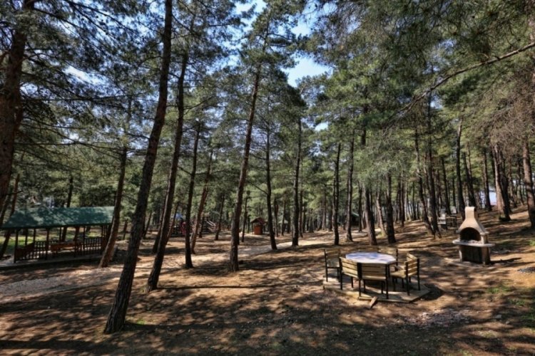 &Ccedil;MO Bursa Şube Başkanı Şen: Yeniden kullanabilen malzemeler ile piknik yapmayı tercih etmeliyiz