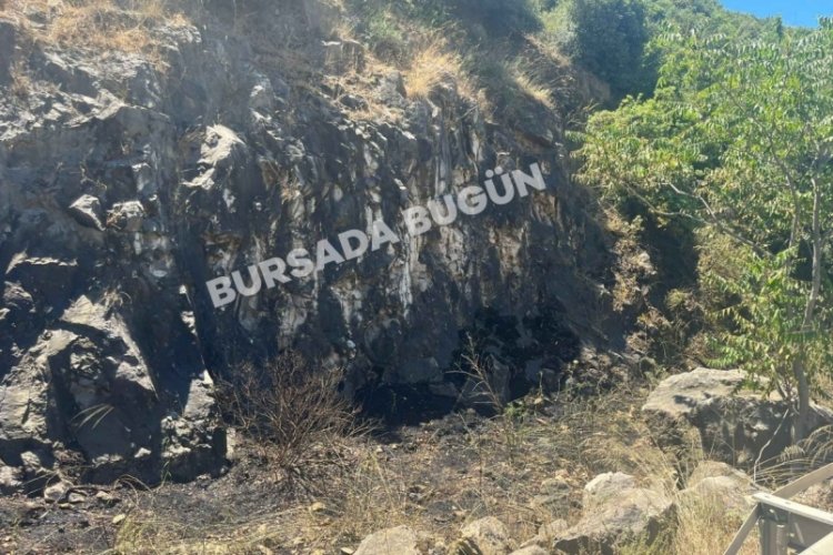 Bursa Yalova yolunda yangın!