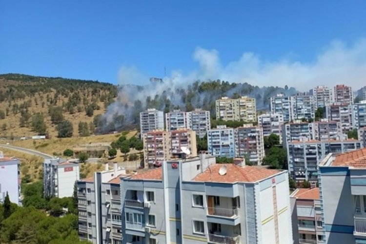 İzmir'de orman yangını!