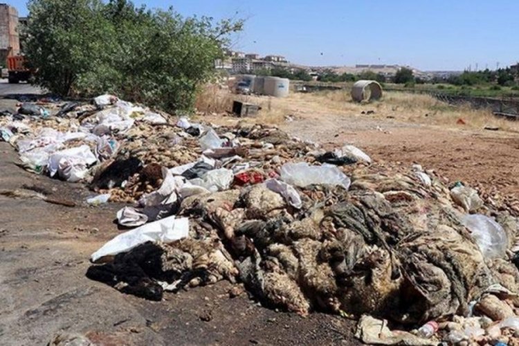 Gaziantep'te yol kenarlarına atılan y&uuml;zlerce kurban derisi ve atık b&uuml;y&uuml;k tepkiye neden oldu