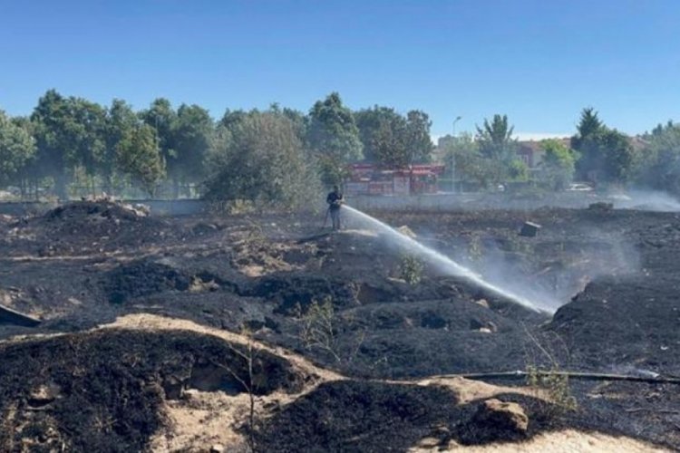 Eskişehir'de sokak hayvanlarını besleme alanında yangın &ccedil;ıktı!