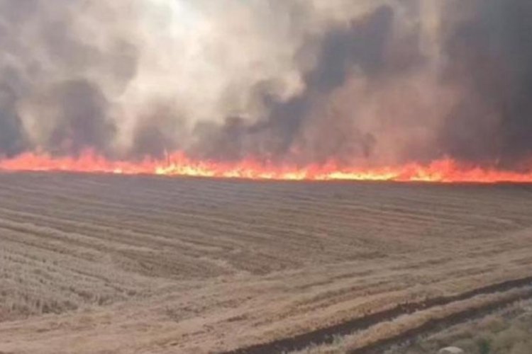 Şanlıurfa'da &ccedil;ıkan yangında tam 100 d&ouml;nem arazi alev alev yandı