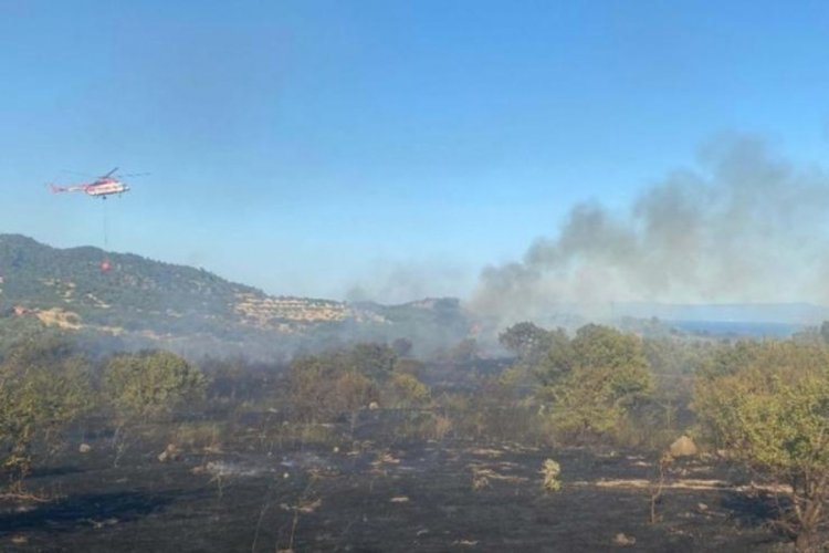&Ccedil;anakkale'deki orman yangını kontrol altına alındı