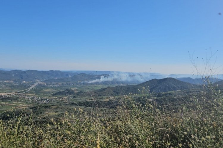 Bursa-Sakarya yolu &uuml;st&uuml;nde ormanlık alanda yangın!