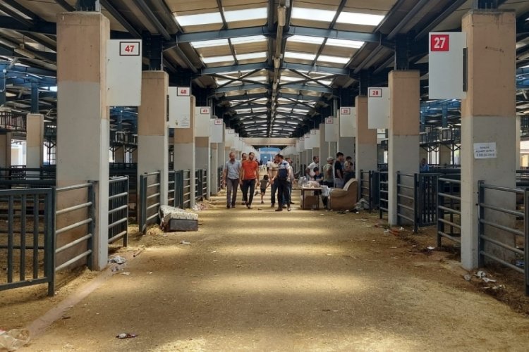 Bursa'da kurban pazarlarında b&uuml;y&uuml;kbaş hayvan kalmadı! En d&uuml;ş&uuml;k kurban ne kadar?