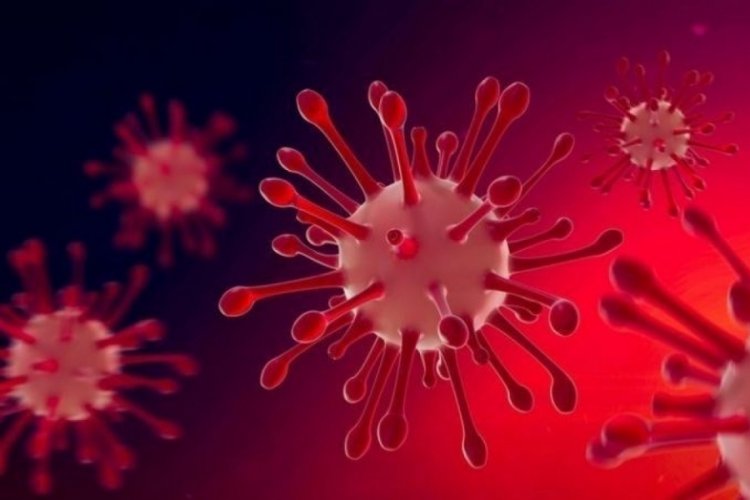 Yeni Covid varyantı KP.3'&uuml;n semptomları a&ccedil;ıklandı