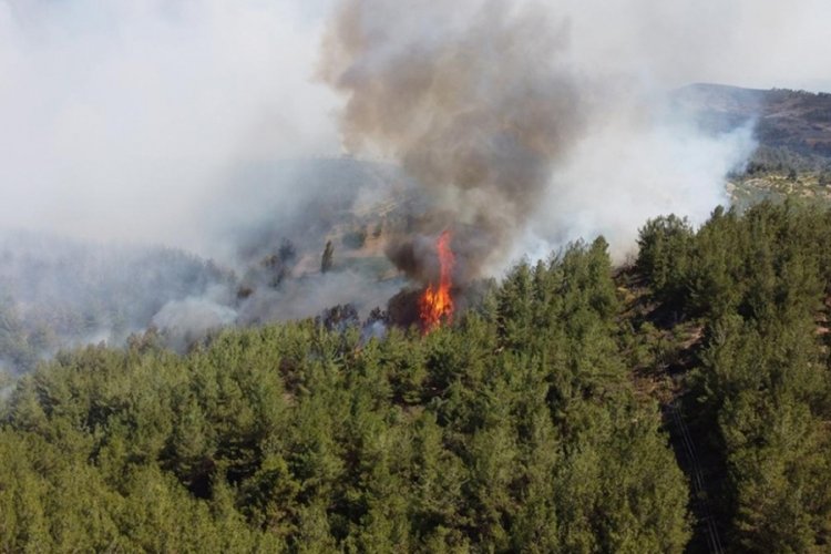 İzmir'de korkutan orman yangını kontrol altına alındı&nbsp;