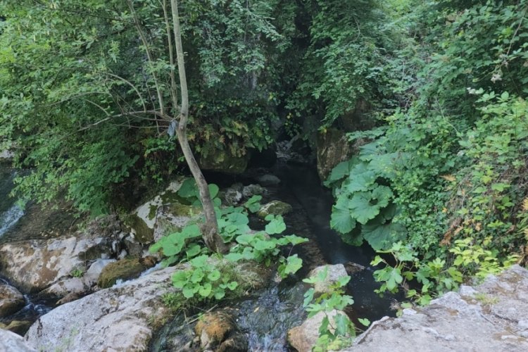 Zonguldak'ın &ccedil;ayır su mağarası, ziyaret&ccedil;ilerin ilgi odağı oldu