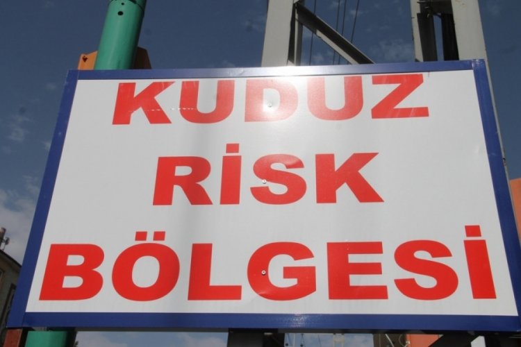 Niğde'de kuduz karantinası!