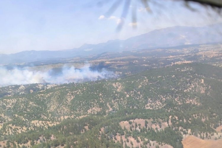Adana'da orman yangını: Havadan ve karadan m&uuml;dahale ediliyor
