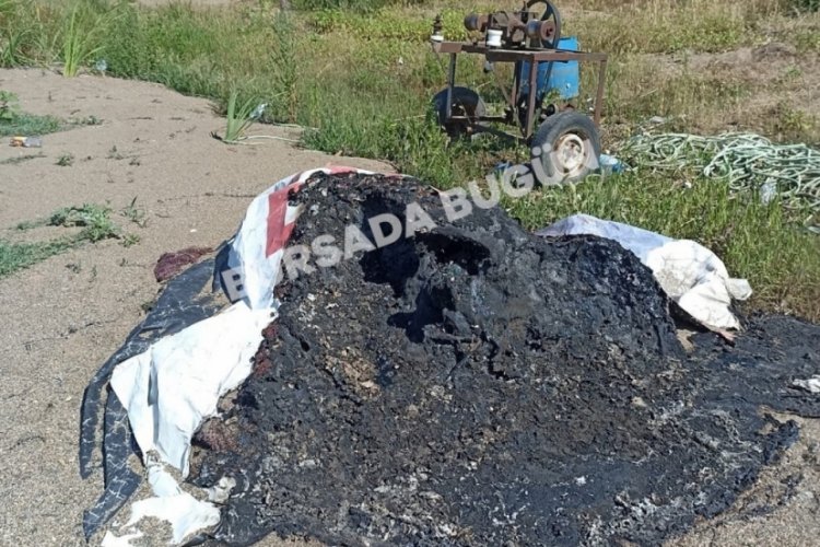 Bursa'da balık&ccedil;ıların ağlarını yaktılar! Zarar tam 500 Bin TL