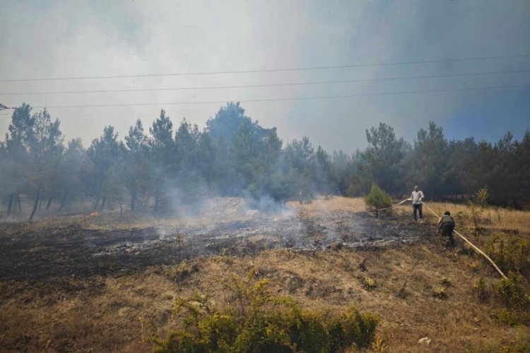 Bursa Valiliği'nden yangın açıklaması