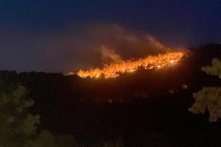 &Ccedil;anakkale'de orman yangını! 1 k&ouml;y boşaltıldı
