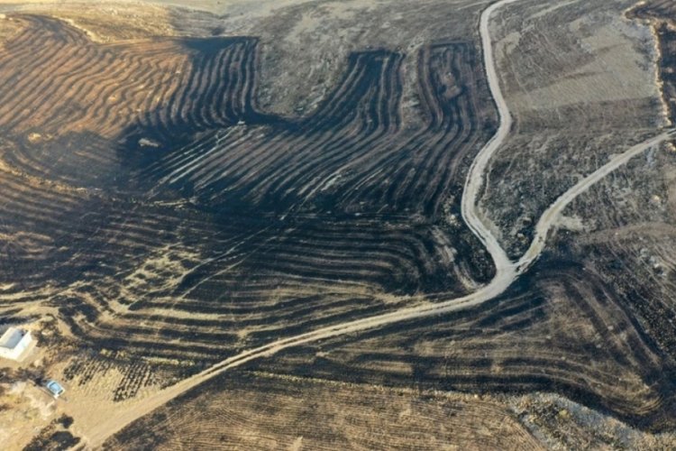 Diyarbakır ve Mardin arasındaki anız yangını hakkında soruşturma başlatıldı