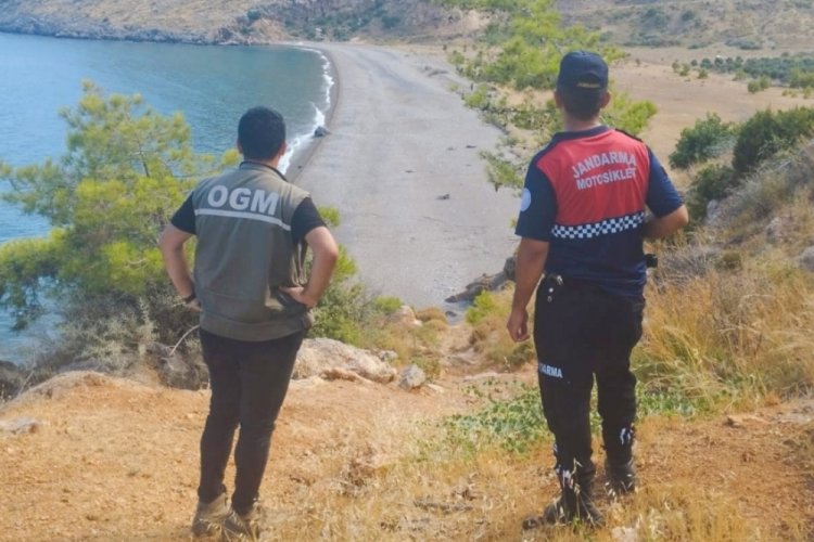 Mersin'de ormanlık alanlara sıkı denetim