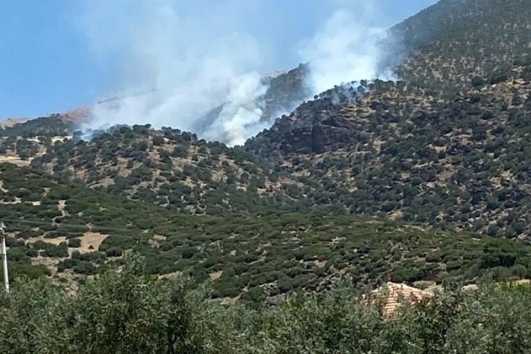 Manisa'da orman yangını! Havadan ve karadan m&uuml;dahale s&uuml;r&uuml;yor
