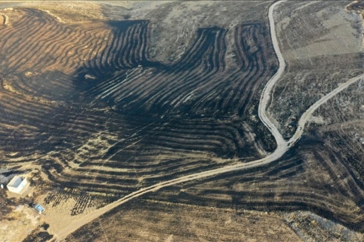 Diyarbakır ve Mardin arasındaki anız yangınında &ouml;l&uuml; sayısı 11 e y&uuml;kseldi