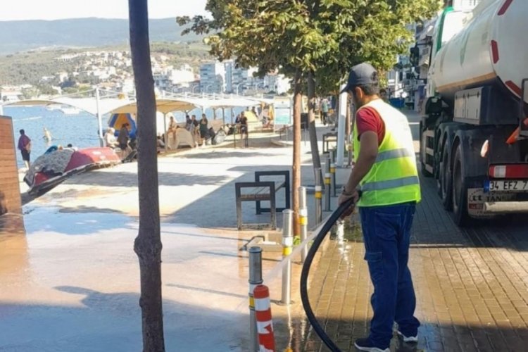 Bursa Gemlik Belediyesi'nden sahil temizliği operasyonu