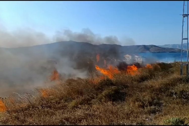 Balıkesir Avşa Adası'nda arazi yangını y&uuml;rekleri ağıza getirdi
