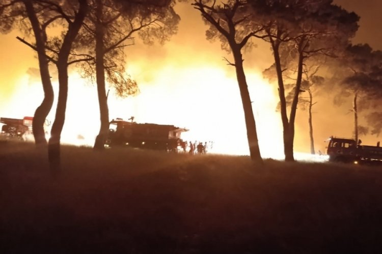 &Ccedil;anakkale'deki orman yangını kontrol altına alındı