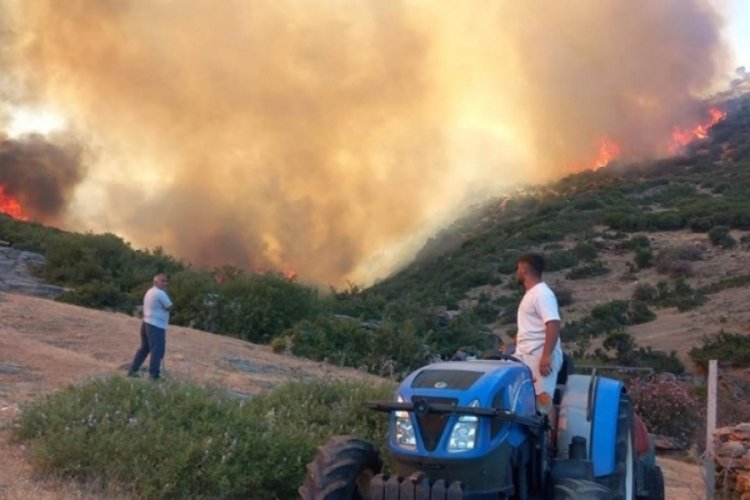 Manisa'da orman yangını: Ekiplerin m&uuml;dahalesi devam ediyor