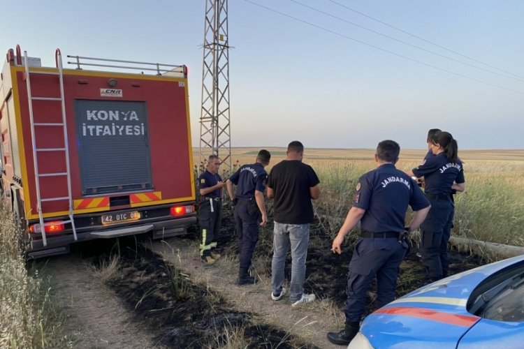 Konya'da elektrik akımı kuşları &ouml;l&uuml;me s&uuml;rekledi