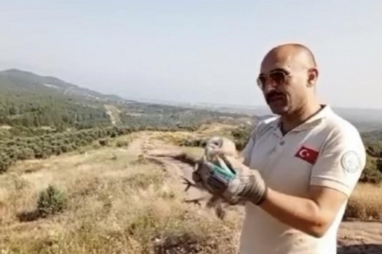 Osmaniye'de tedavi tamamlandı! Kuşlar &ouml;zg&uuml;rl&uuml;ğ&uuml;ne kavuştu