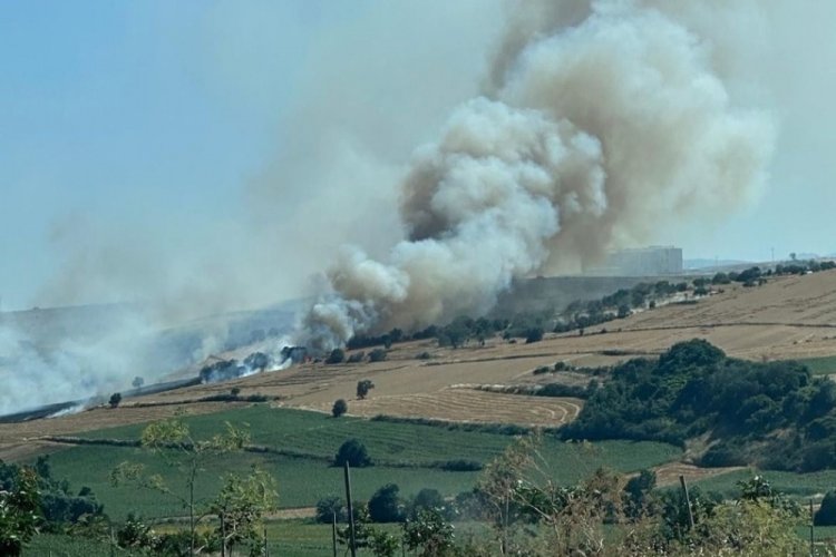 Tekirdağ'da alev alev yanan buğday tarlası k&uuml;le d&ouml;nd&uuml;
