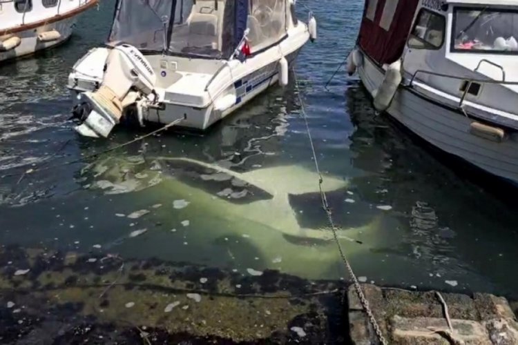 İstanbul'da park etmeye &ccedil;alışırken denize d&uuml;şt&uuml;