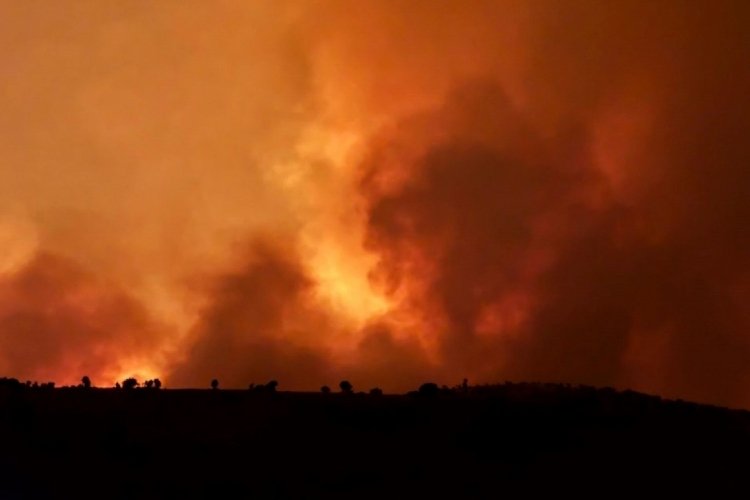 Diyarbakır-Mardin sınırındaki yangında can kaybı yükseldi! Kaynağı ise...